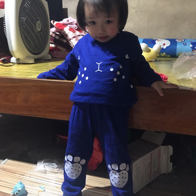 phn thuỳ linh