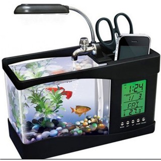 Bể Cá Mini Nhập Khẩu