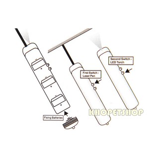 Đèn Laser pin cúc cho mèo