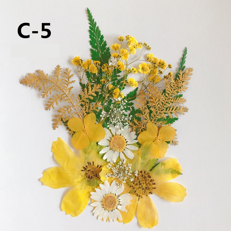 Set Hoa Ép Khô Hỗn Hợp Theo Tông Màu Làm Trang Trí Nến Thơm, Handmade