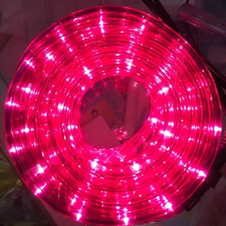 Combo 10m dây led quận 10m
