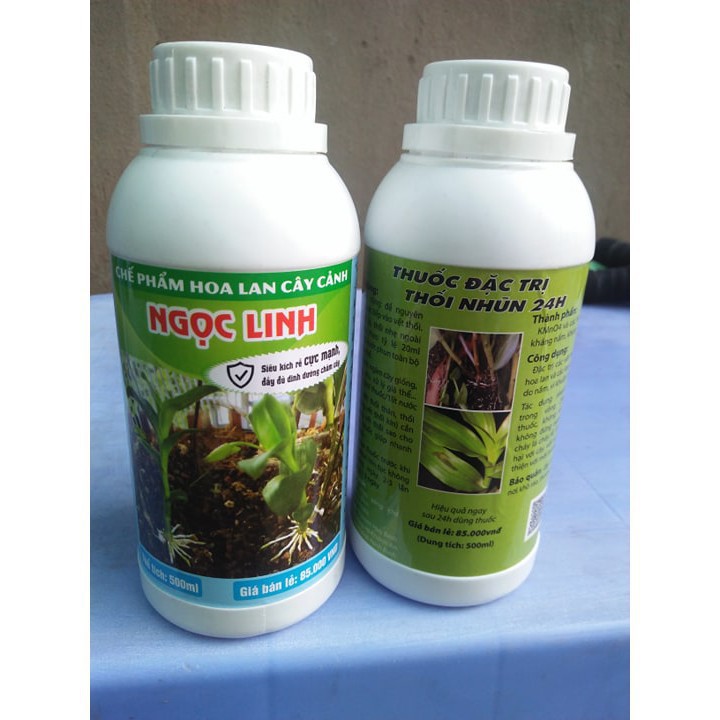 Chế phẩm đặc trị thối nhũn 24h chai 500ml