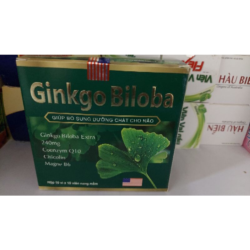 Ginkgo biloba 240mg hộp 100v