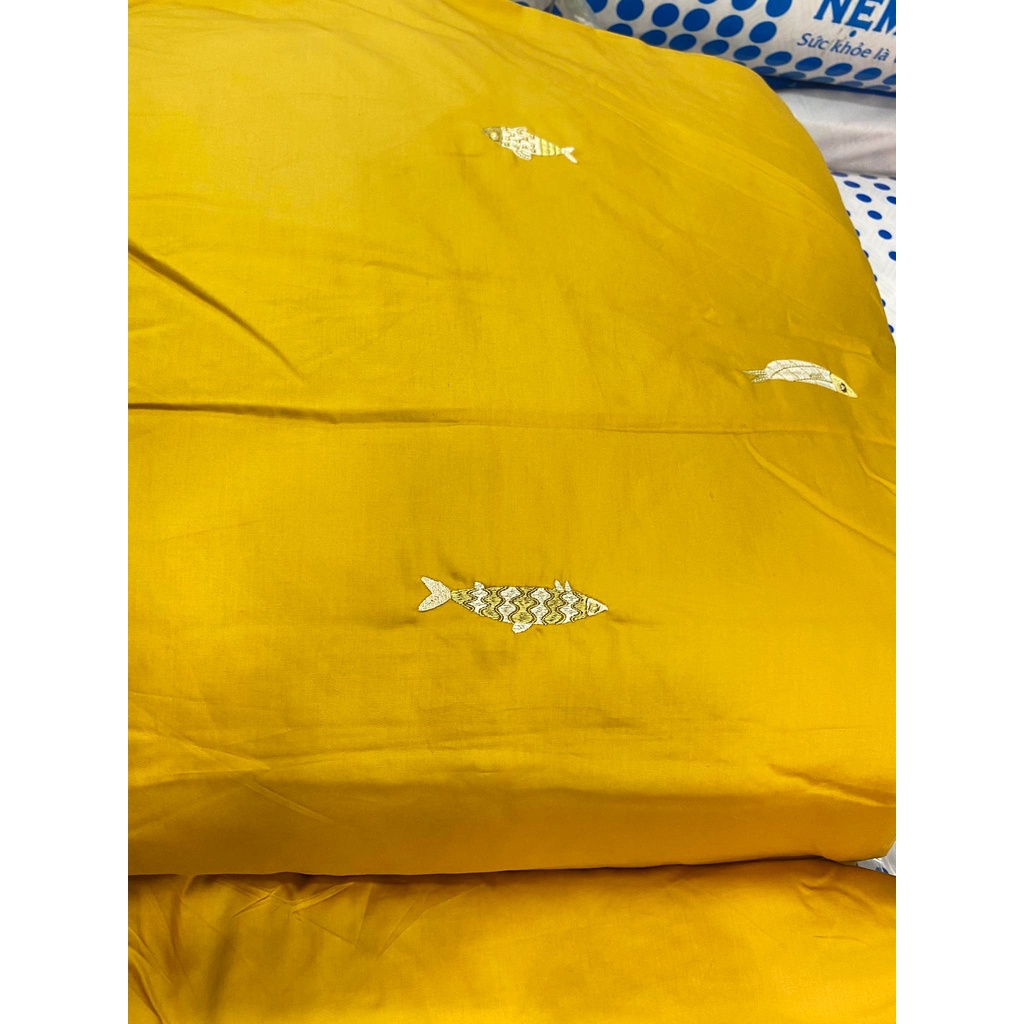 Bộ Drap chun chần EVERON MDSC036