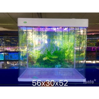 Bể cá để bàn kính liền