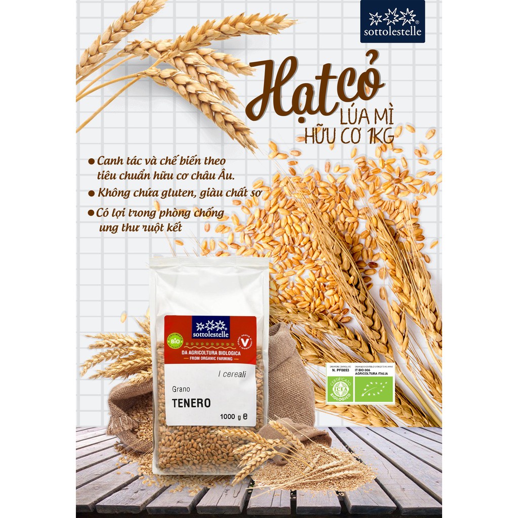 Hạt cỏ lúa mì hữu cơ Sottolestelle/Markal Organic WheatGrass Seeds