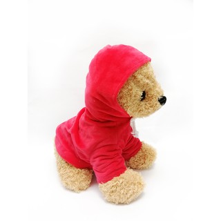 Chó Poople mặc áo hoodie