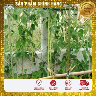 Hạt Giống Đậu Đũa Xanh Hạt Nâu (20gr)