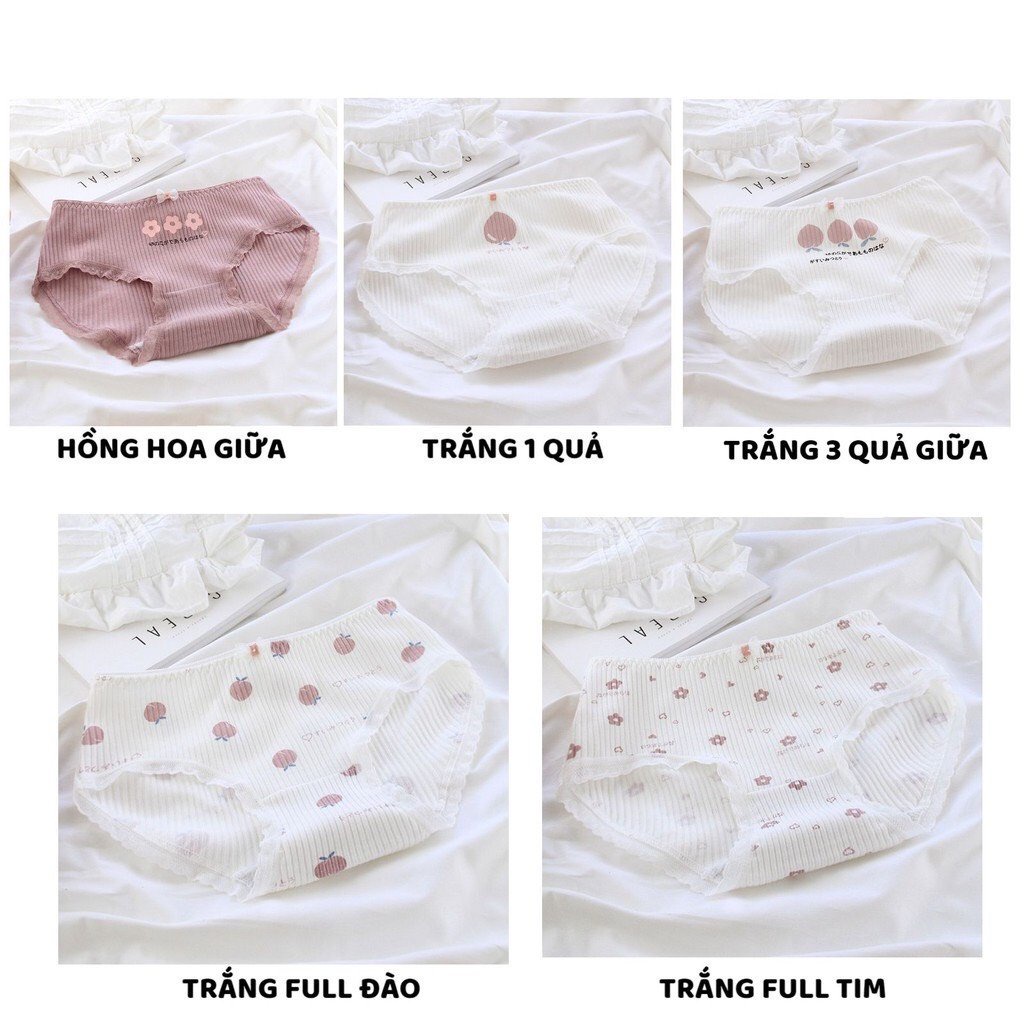 Quần Lót Nữ - Set Cotton gân tăm Hoa đào viền ren DAN STORE MÃ C874