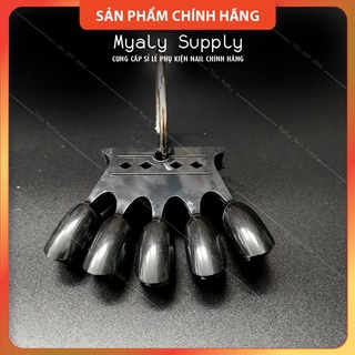 Móng Que Tập Sơn Tập Vẽ Móng Que Vương Miện