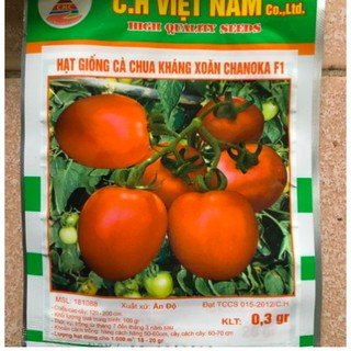 HẠT GIỐNG CÀ CHUA KHÁNG XOĂN QUẢ TO CHANOKA F1 C.H VIỆT NAM