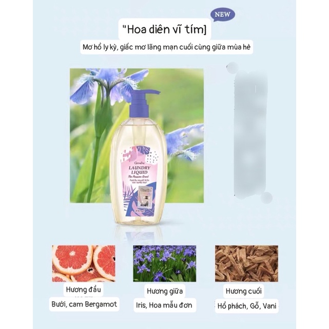DIỆT KHUẨN -Dung dịch giặt nội y, hương hoa tự nhiên Thái-tem chính hãng 500ml