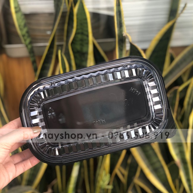 10 Hộp nhựa đựng bánh HT17
