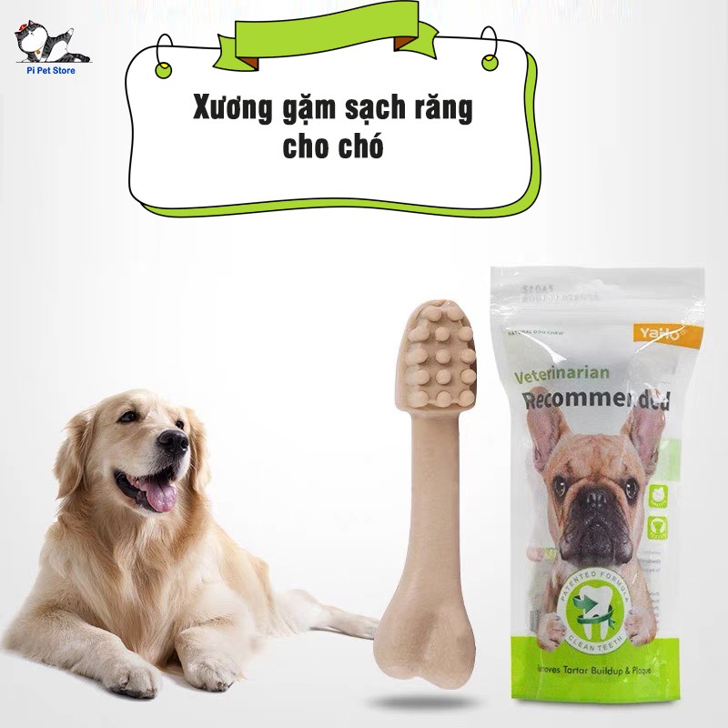 Xương gặm sạch răng cho chó Xương Bàn Chải Cho Chó Yaho Pi Pet Store