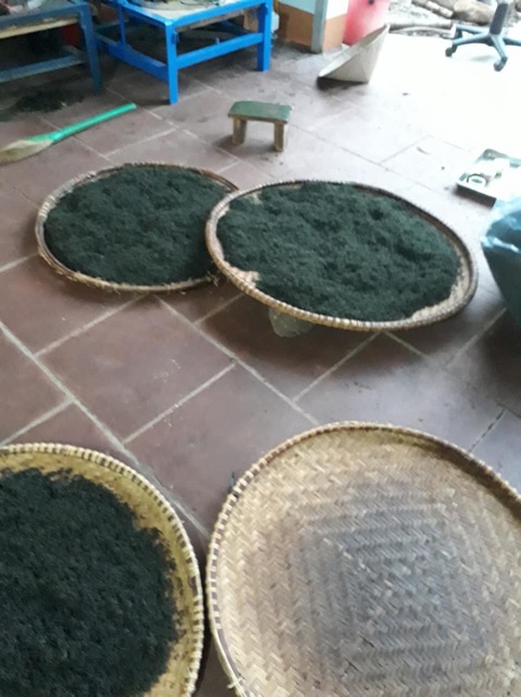 100gr TRÀ (chè) Tân Cương Thái Nguyên nhà làm bảo đảm