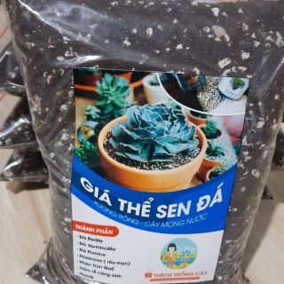 Giá thể sen đá / xương rồng (Túi 1kg + Tặng kèm 100g đá pumice rải mặt)