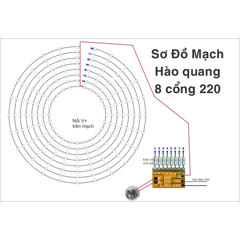 Mạch hào quang 8 cổng 220