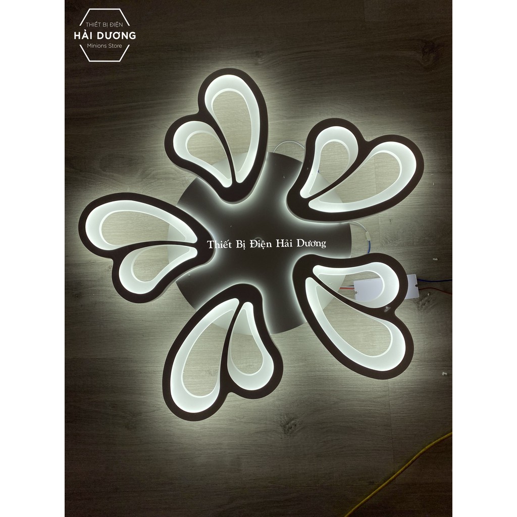 Đèn Ốp Trần Decor 5 Cánh Bướm NT021 - 3 Chế Độ Ánh Sáng - Tăng Giảm Ánh Sáng - Điều Khiển Từ Xa - Bảo Hành 1 Năm