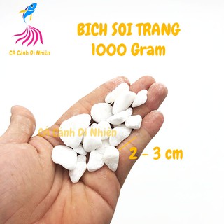 Bịch sỏi TRẮNG 1 KG size 2 - 3 cm trang trí hồ cá cảnh