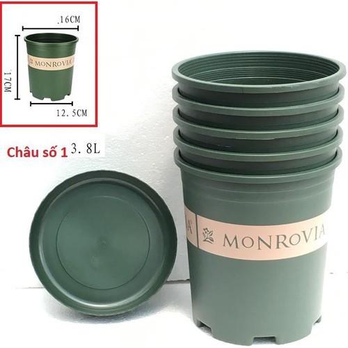 Chậu Monrovia số 1 (1GL) Tặng Kèm đĩa lót - hàng đẹp TQ