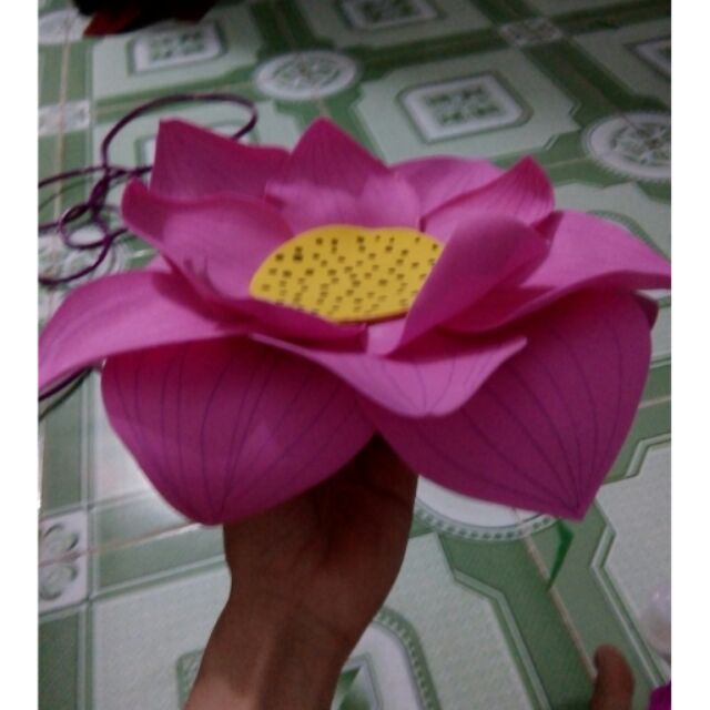 Hoa sen múa cho bé