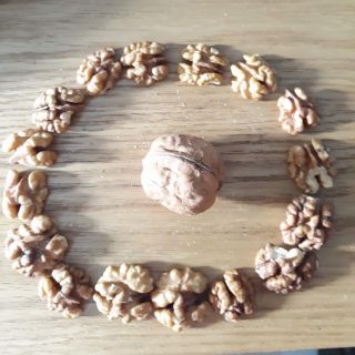 Hạt óc chó nhân ( Cộng Hòa Séc; USA); Giá 275k/ 500g