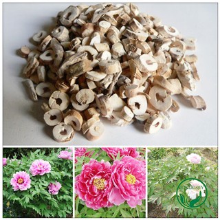 🌱 500g đan bì - sản phẩm được thu hái tự nhiên - dlq258