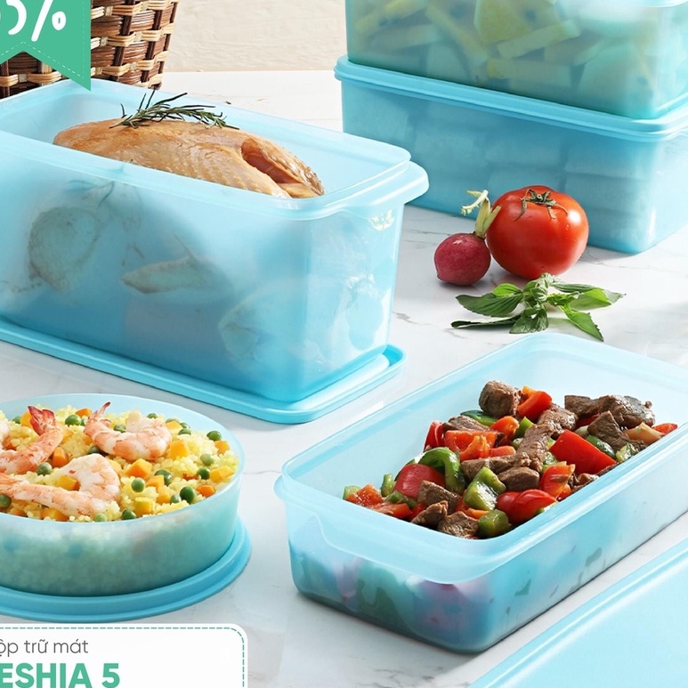 TUPPERWAREHOUSE MALL - BỘ HỘP TRỮ MÁT FRESHIA SET 5