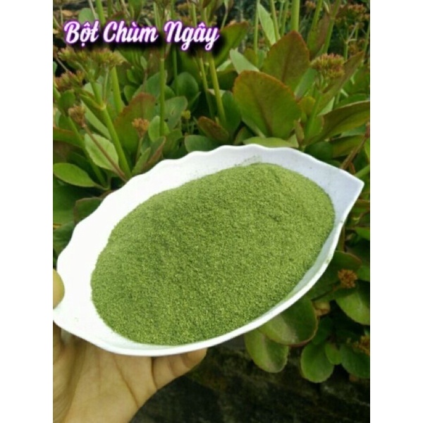 Bột chùm ngây đẹp da tốt cho sức khoẻ hộp 500g