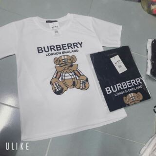 . Áo burberry in hình gấu ❤❤