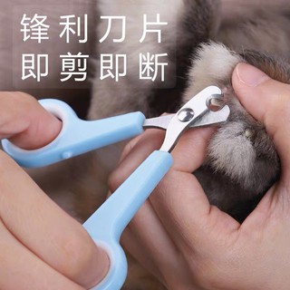 bộ kiềm móng hamster/thỏ/bọ/nhím/sóc Jolly