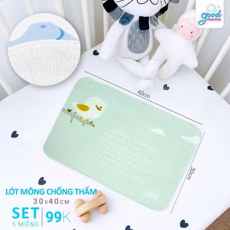 &quot;FREE SHIP&quot; TẤM LÓT CHỐNG THẤM CHO BÉ GOODMAMA (1 sét 5 miếng)