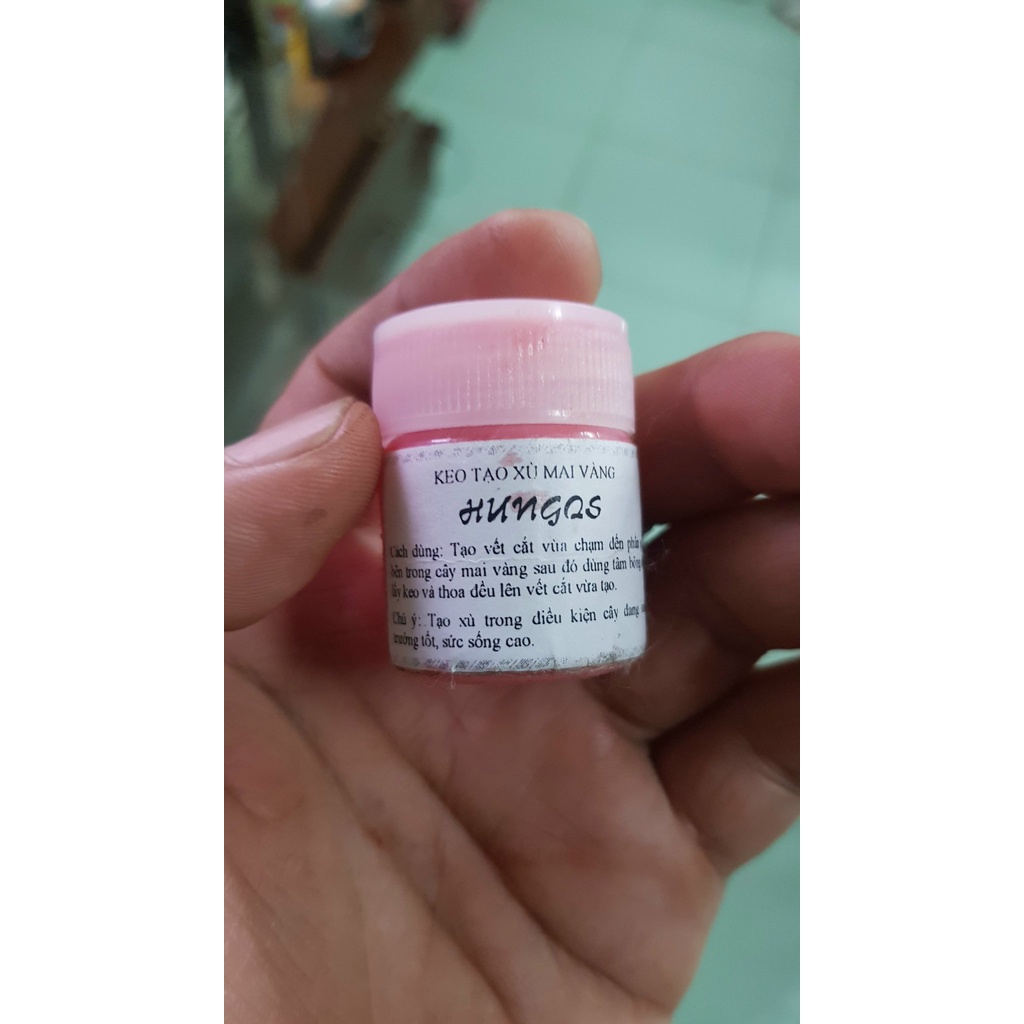 Keo Vua Tạo Xù Nu chuyên dùng để tạo Xù Cho Cây Mai Vàng