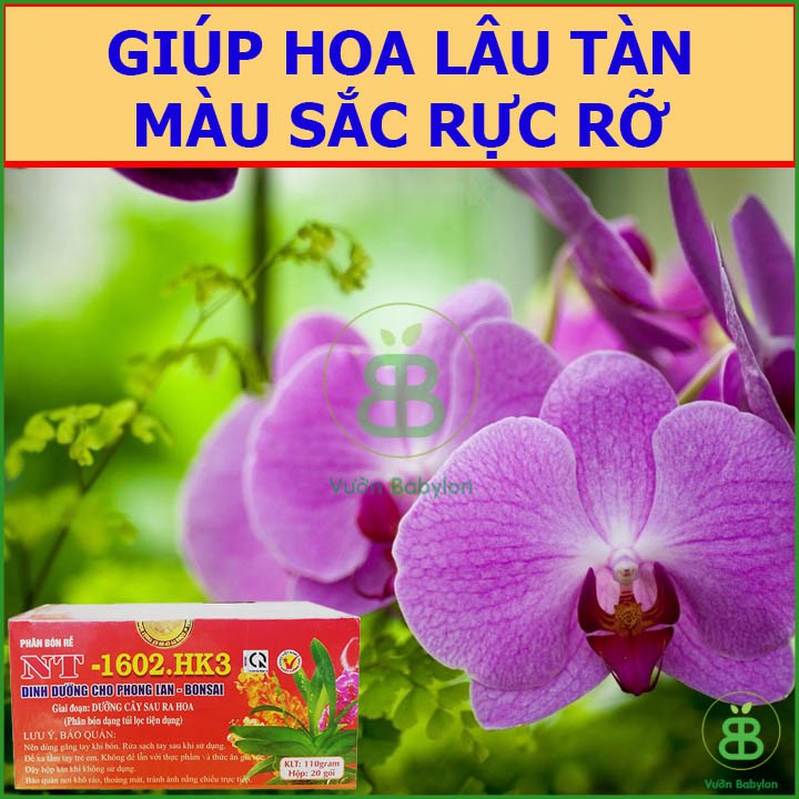 Phân Bón Rễ Dạng Túi Lọc Chuyên Dùng Cho Phong Lan Và Hoa Kiểng 1602.HK3