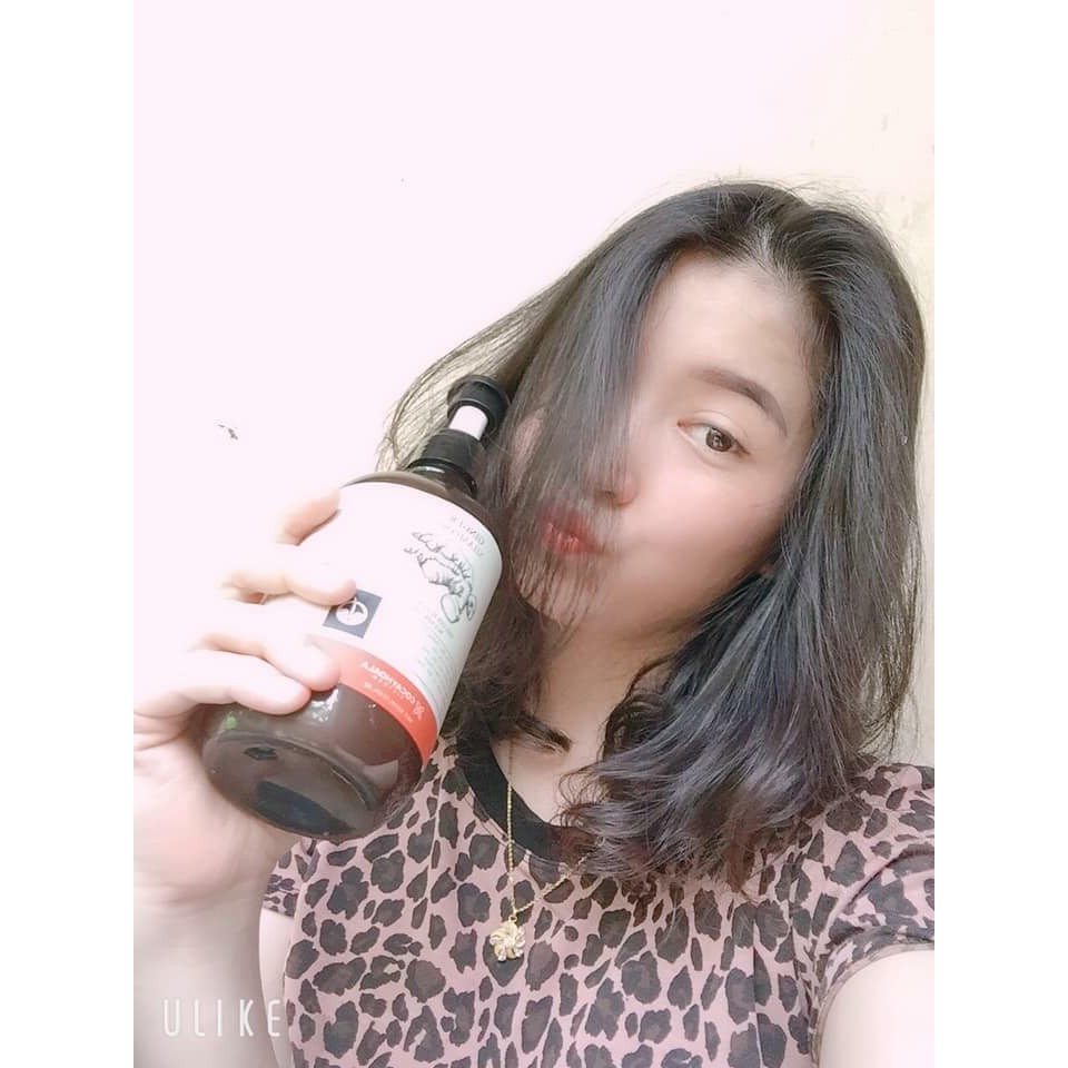 Bộ dầu gội-xả gừng tươi Cocayhoala kích thích mọc tóc 500ml | BigBuy360 - bigbuy360.vn