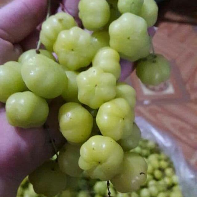 Mứt chùm ruột