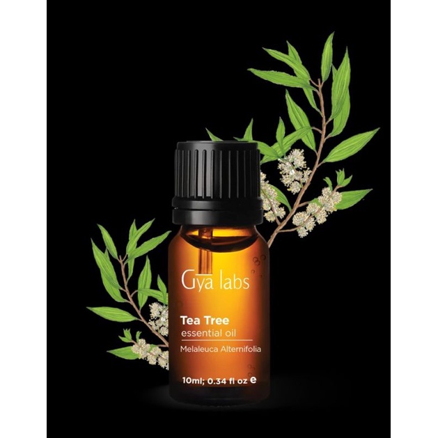 [Hàng Mỹ] Tinh dầu tràm trà Tea Tree Oil Gya Labs nguyên chất 10ml