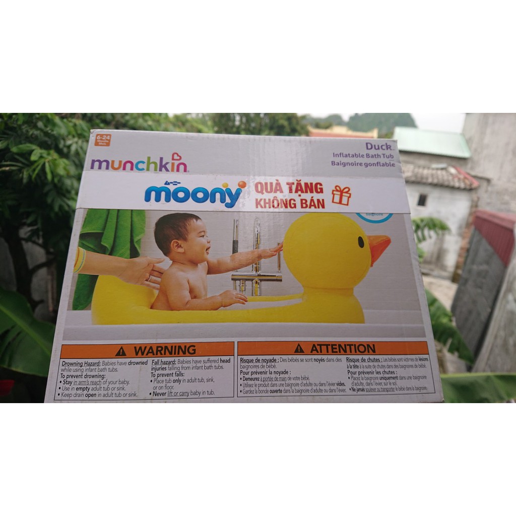 Hồ phao bơi vịt Munchkin cho bé