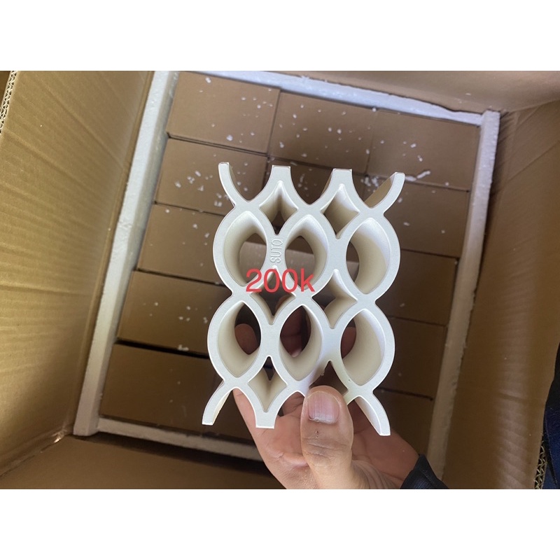 ZS666 hang pleco, cá chuột siêu phẩm