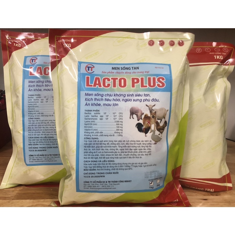 Men vi sinh sống đậm đặc Lacto plus gói 100g tiêu hóa tốt, hấp thu nhanh, khô phân chó, mèo, lợn, gà, chim,...