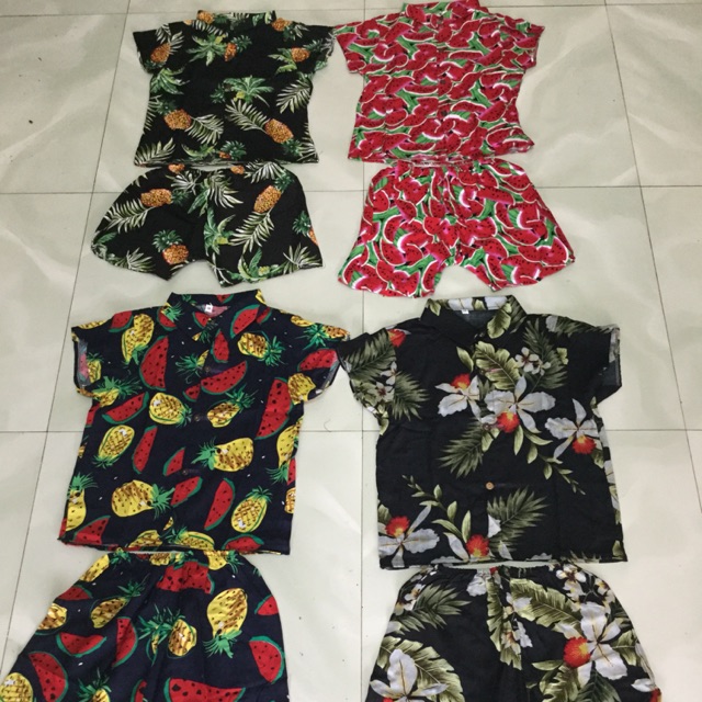 Combo 20 bộ trái cây