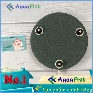 Đĩa sủi 20cm dành cho bể cá cảnh, hồ cá cảnh