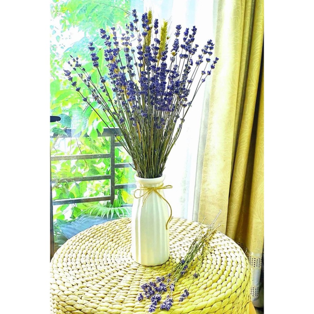 Bó hoa Lavender ( hoa Oải Hương ) khô tự nhiên