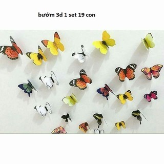 decal dán tường bướm decal 3d