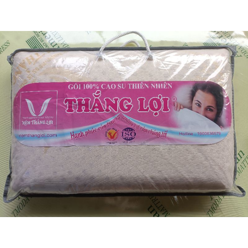 Gối nằm cao su thiên nhiên Thắng Lợi 100%