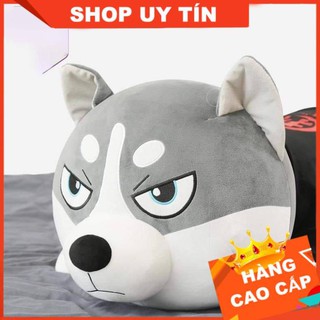 Chó Husky Bông, Chó Bông Huskey