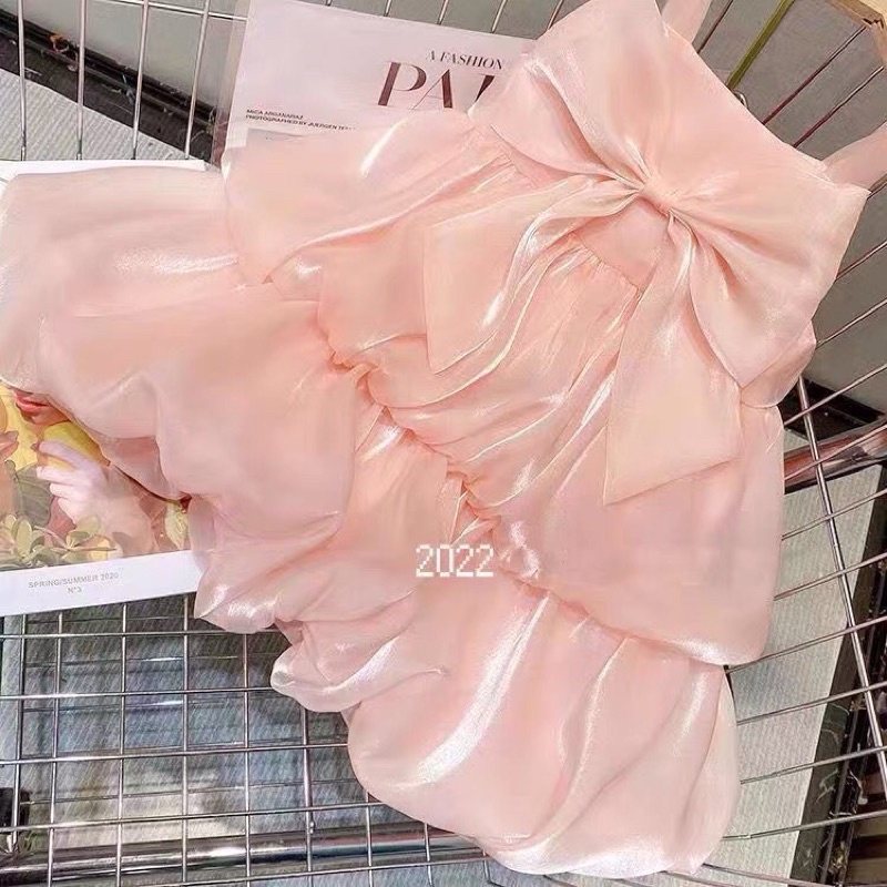 ÁO ĐẦM XINH NƠ TO CHO CÚN