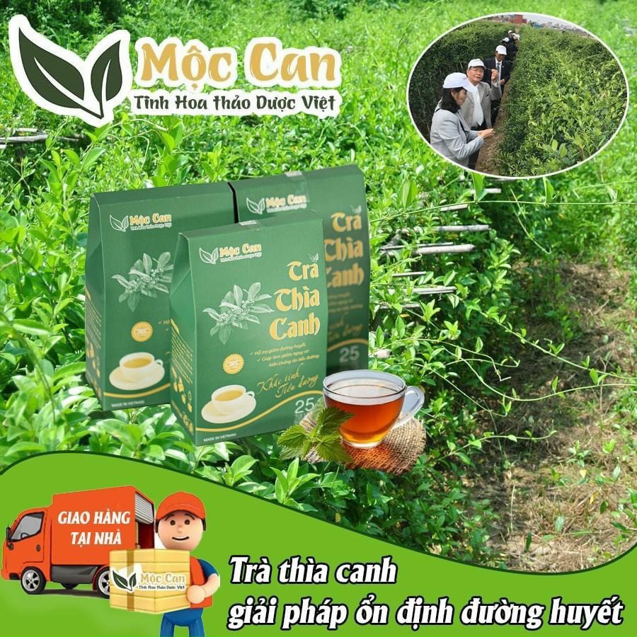 Trà dây thìa canh Mộc Can