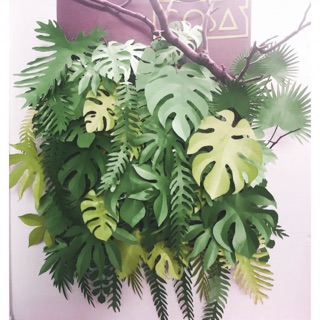 Combo giấy mỹ thuật làm backdrop lá nhiệt đới