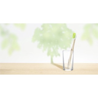 Bàn Chải Đánh Răng Trisa Natural Clean Thân Gỗ